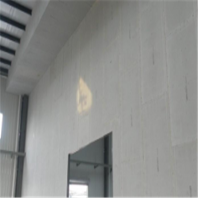 洪山宁波ALC板|EPS加气板隔墙与混凝土整浇联接的实验研讨